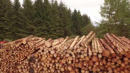 Forestry and logging operations taking place in the highlands of Scotland using large industrial mac