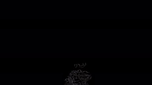 Abstract Bat Swarm Ascending Animation Overlay