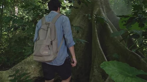 hombre, con, grande, árbol
