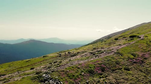 Four Hikers Walk to the Top of the Mountain with Backpacks on Their Shoulders