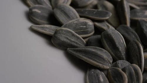Pile of Delicious Sunflower Seeds Close Up