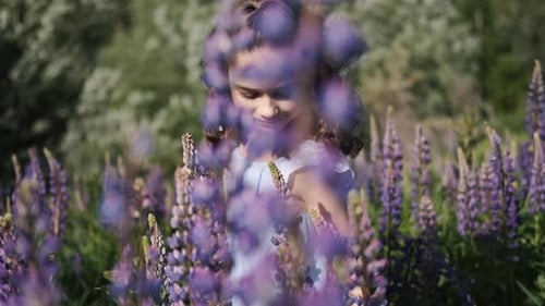Beautiful Happy Little Girl Is Walking Along a Blooming Purple Field of Lupins. Summer Sunset
