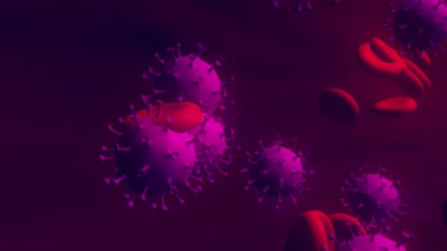 Blutzellen und Virus 01 Hd