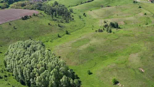 A beautiful flight in the spring on a quadcopter over a field with green grass