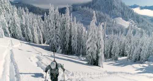 Happy Skier Cross Country Trekking Hikes Up Mountain Slope Good Attitude High Altitude Forest