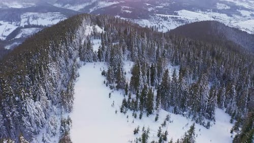 An Extraordinary Valley with Hills and Mountains Covered with Fir Forests Against the Backdrop of a