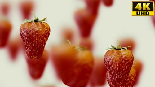 Strawberry Background Loops Pack V1
