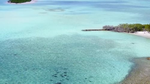 Aerial view landscape of tourist beach wildlife by blue ocean and sand background