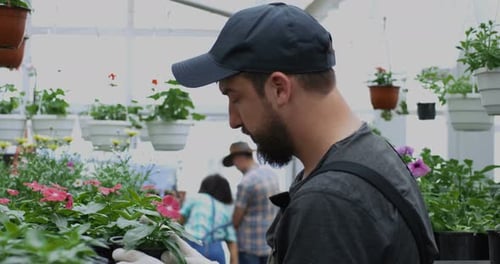 Happy man working with plants in greenhouse