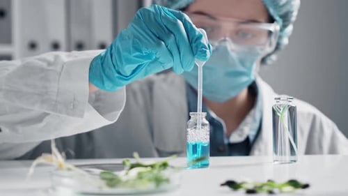 Scientist Works in Lab with Pipette and Vials