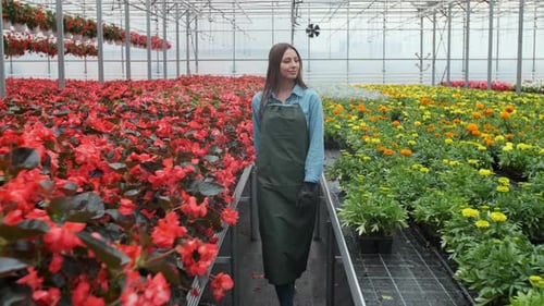 Woman Walks Through Greenhouse Full of Potted Flowers