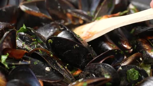 Fresh Mussels Cooking with Herbs, Close Up