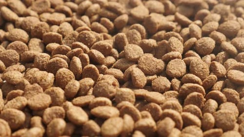 Dry Pet Food Close Up
