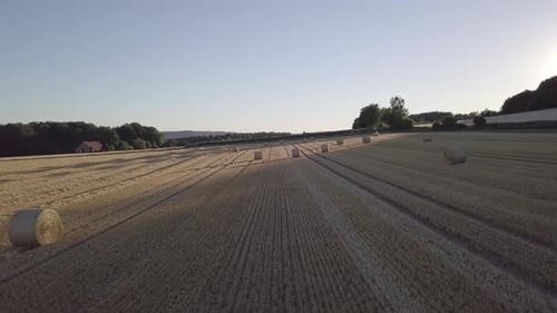 Drohnenaufnahme des Goldenen Erntefeldes in Deutschland bei Sonnenuntergang