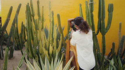 Model Posing During Outdoor Photoshoot in a Cactus Garden