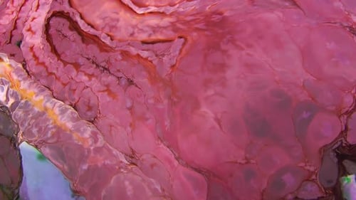 Abstract Pigment Paint Mixture Texture