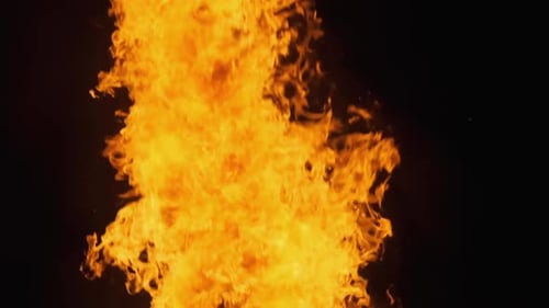 Ein großes Lagerfeuer brennt in der Nacht. Feuer-Flamme-Hintergrund. Zeitlupe 240 Fps