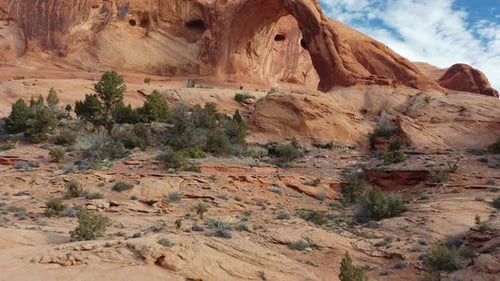 Aerial panoramic shot of Grand Canyon National park in Utah, United States with green shrubs visibl