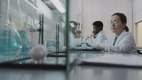 White Mouse in Lab With Scientists