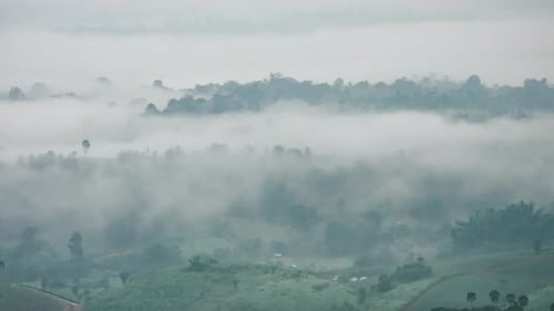 Fluffy fog cloud flowing on natural forest mountain from time lapse sunrise cloudy sky on morning