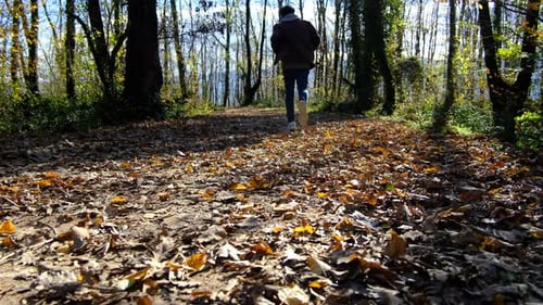 Run Forest