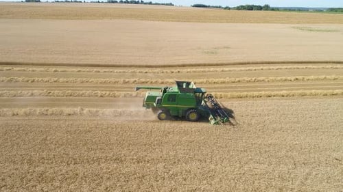 Combine Harvester on Wheat Field