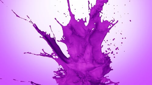 Vibrant Fluid Purple Paint Splash Animation