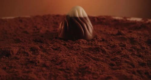 Confectionery Spread on Cocoa Powder