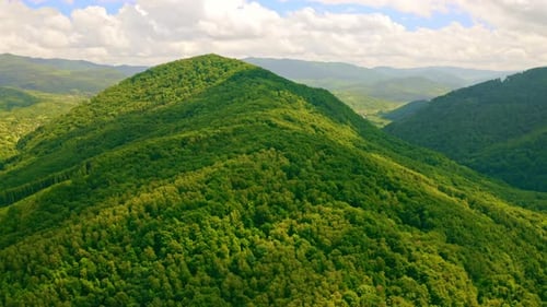 Lush Green Mountains and Forests Aerial View