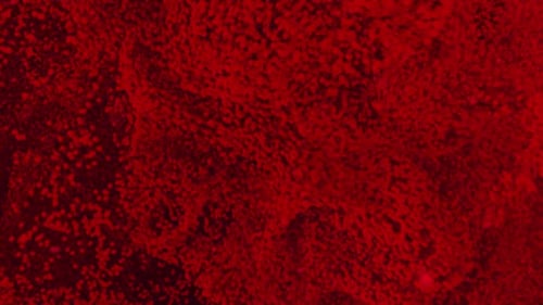 Dynamic Red Particle Effect Abstract Background