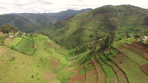 Aerial view of agriculture fields and forests, Uganda