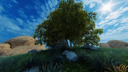 Hill 2K