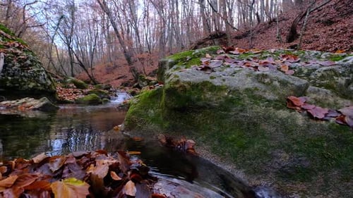 View of the River Flowing From the Mountain Waterfall