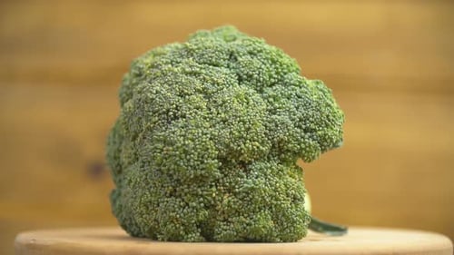 Broccoli Floret Close Up Rotating on Display
