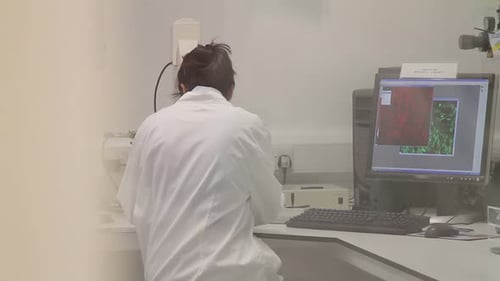 Deux scientifiques examinent les résultats des tests sur un écran d'ordinateur en laboratoire