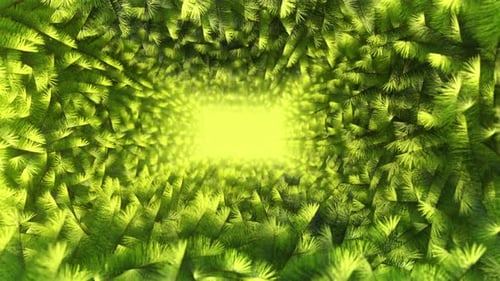 Pine Leaves Tunnel 02 4k
