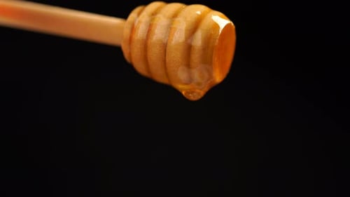 Honey Dripping off of a Wooden Honey Dipper