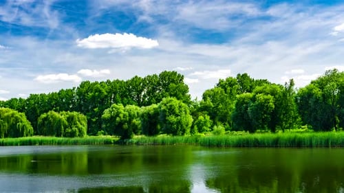 Grüner Stadtpark