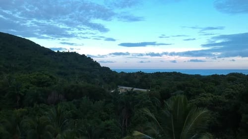 Drone ascends from behind a large palm tree to reveal a tropical sunset and the ocean in the distanc