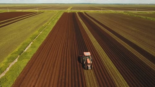 Tractor Cultivates the Land in the Field.