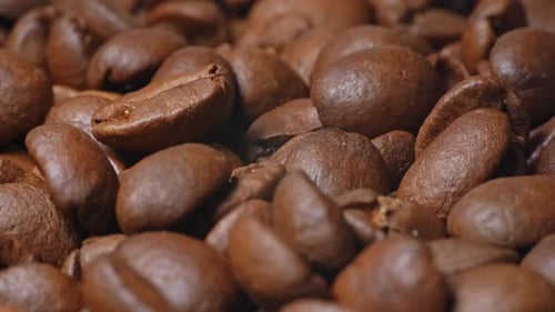 Delicious Roasted Coffee Beans Close Up