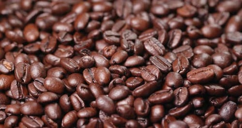 Close Up of Dark Roasted Coffee Beans
