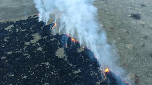 The burning field in spring, view from a drone