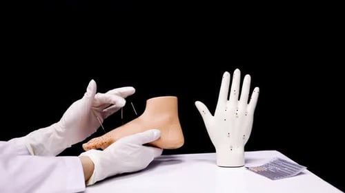 Mannequin Foot with Acupuncture Needles