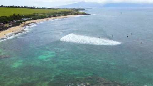 Surfers in the Ocean for a Swell on Maui Island, Hawaii - Aerial