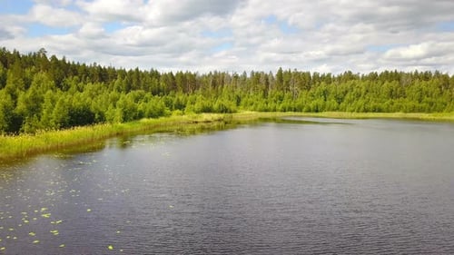 Flight Above Forest Lake