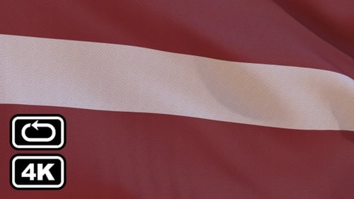 Realistic Waving Flag Fabric Texture Seamless Animation