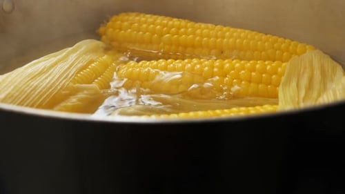 Corn on the Cob Boiling in Pot