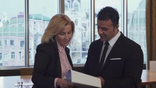 Business Colleagues Review Documents in a Modern Office