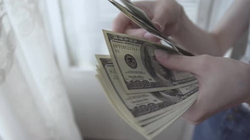 Woman counts money in the hands of dollars close-up